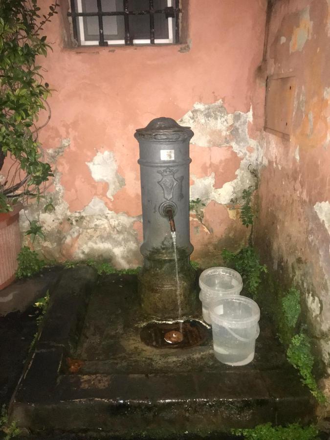 Saint Peter Cozy Apartment Roma Exterior foto